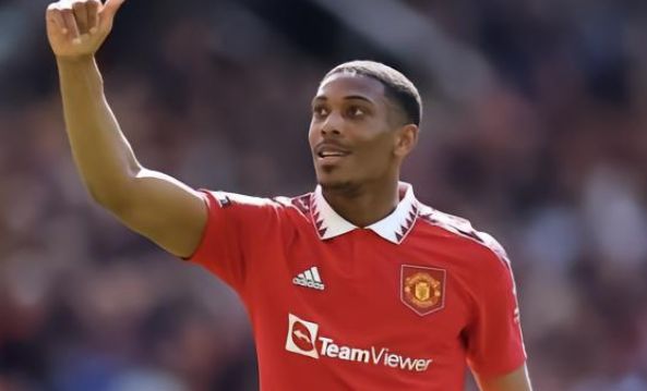 际化的管理 际化的管理